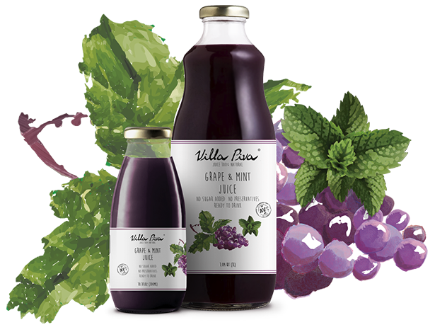 Grape & Mint Juice Villa Piva 100% Natural 10.1 FLOZ and 1.04 QT