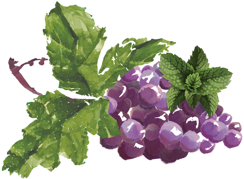 Grapes and Mint