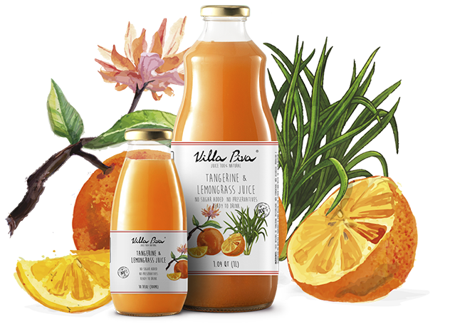 Tangerine & Lemongrass Juice Villa Piva 100% Natural 10.1 FLOZ and 1.04 QT