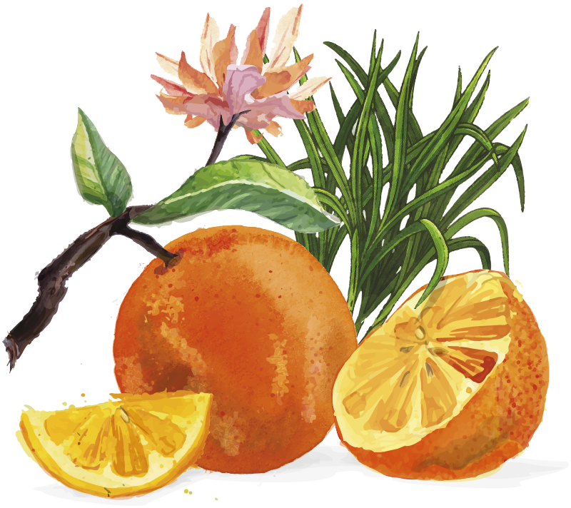 Tangerines and Lemongrass